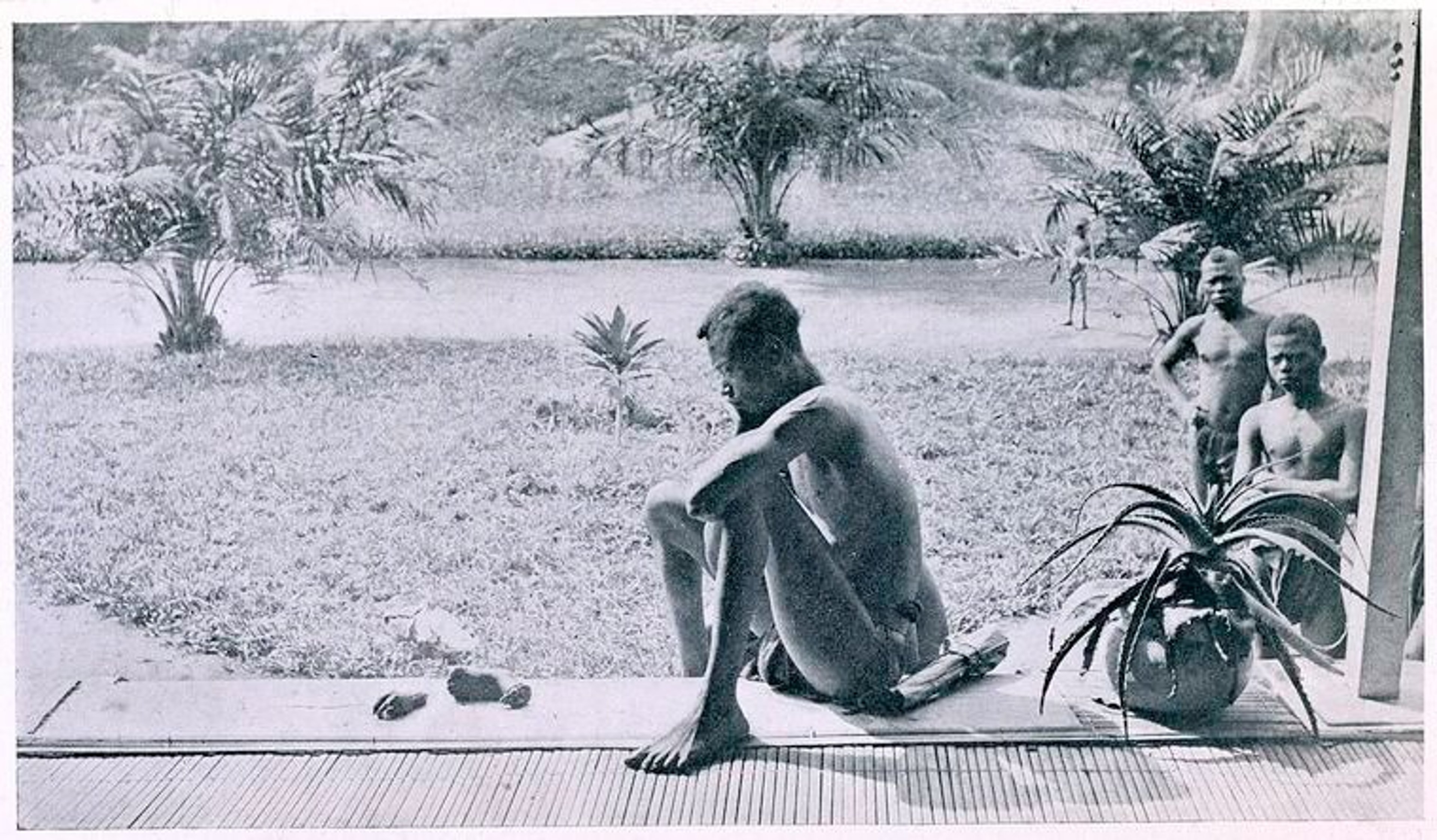 There are No Humans Involved in the Congo Genocide